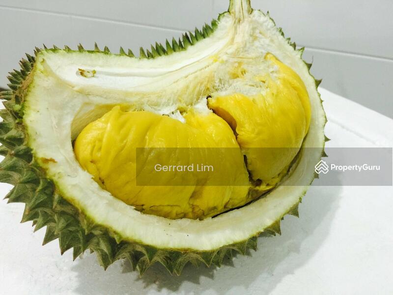 Agricultural Land for Sale in Karak (Pahang) - Gerrard Lim - PropertyGuru.com.my
