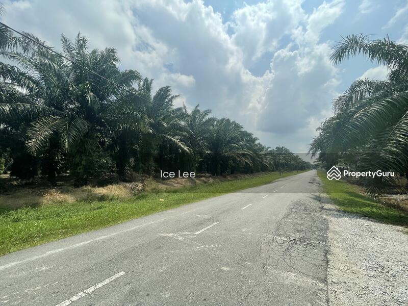 Tanah Perindustrian untuk Dijual di Jenjarom (Selangor) - Ice Lee - PropertyGuru.com.my