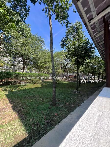 Green area at the back of the house. 