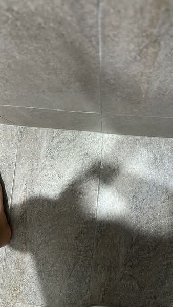 Servis Apartment untuk Disewa di Plaza @ Kelana Jaya - Chai Yi Sheuan - PropertyGuru.com.my