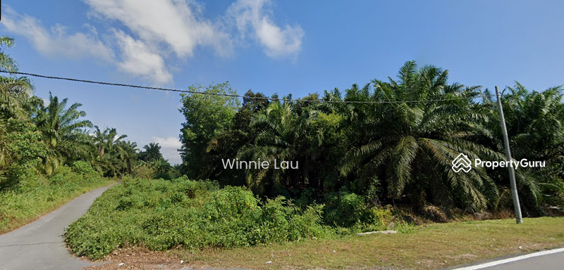 For Sale - Parit Mesjid, Agriculture Land, Parit Selangor, Pontian