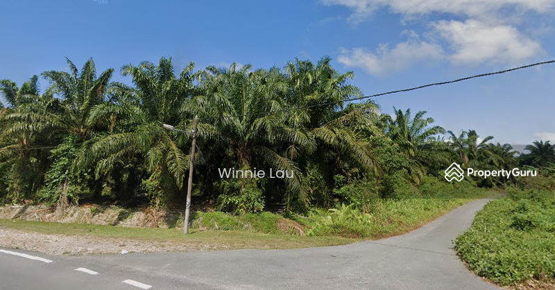 For Sale - Parit Mesjid, Agriculture Land, Parit Selangor, Pontian