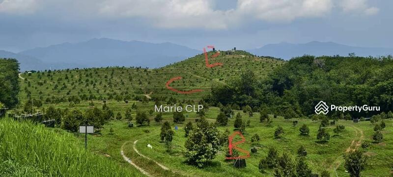 Agriculture land at Cameron Highlands untuk Untuk Dijual - RM 28,160,000, Apr 2026 - PropertyGuru.com.my