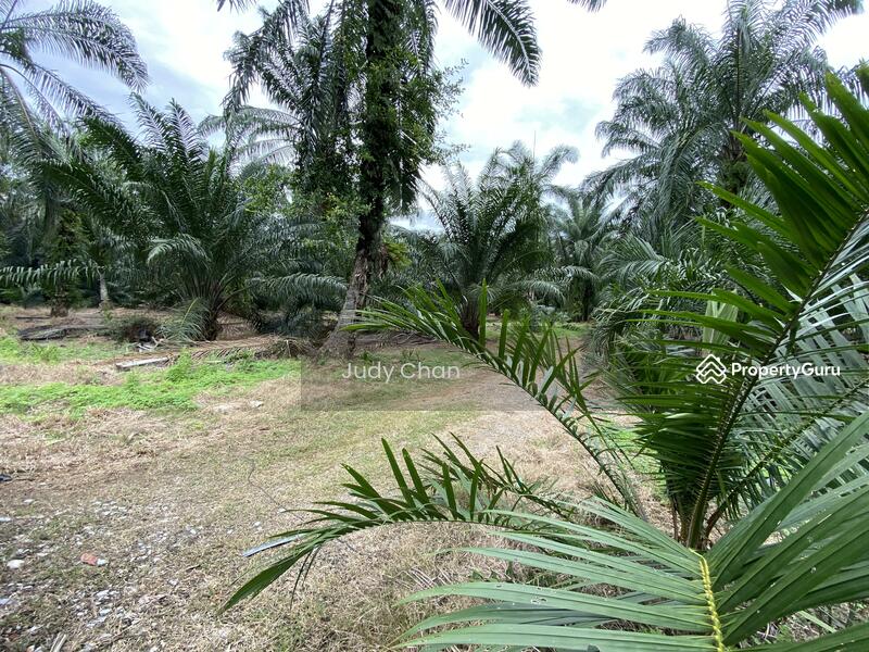 For Sale - Sijangkang, Telok Panglima Garang, Selangor