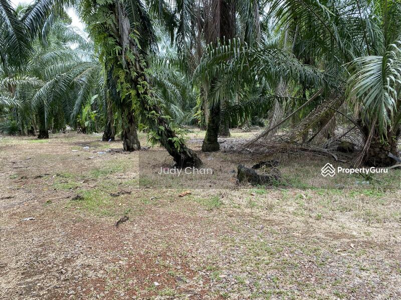For Sale - Sijangkang, Telok Panglima Garang, Selangor