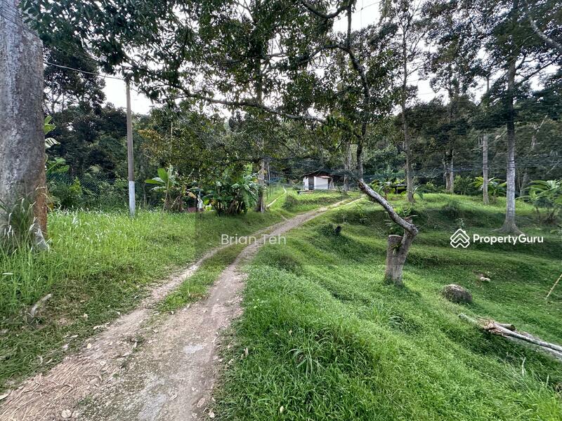 For Sale - Sungai Ara AGRICULTURE LAND For Sale