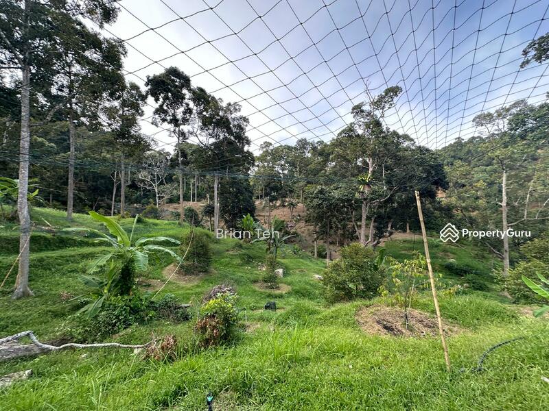 For Sale - Sungai Ara AGRICULTURE LAND For Sale