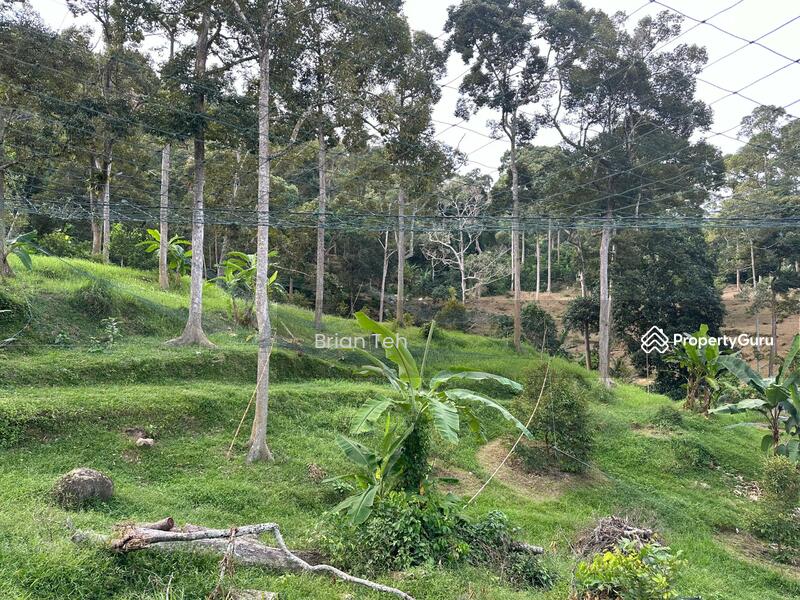 For Sale - Sungai Ara AGRICULTURE LAND For Sale