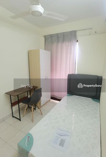 For Rent - Palm Spring @ Damansara