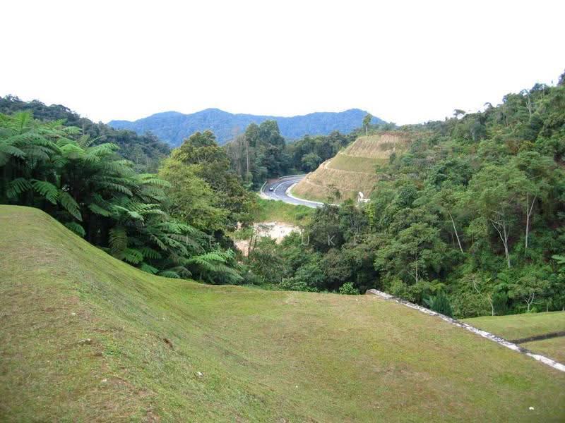 Apartment for Rent at Greenhill Resort - Lee Luke - PropertyGuru.com.my