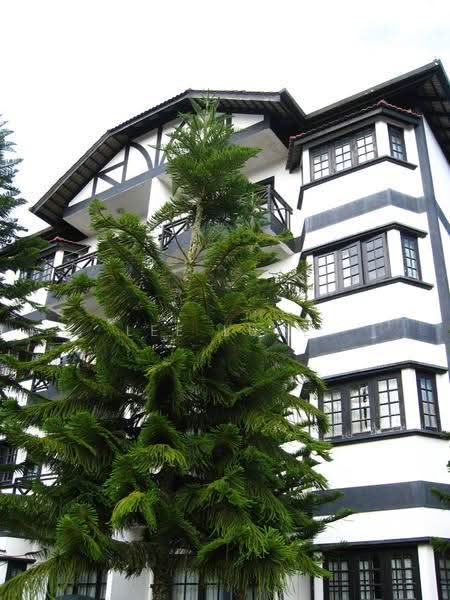 Apartment for Rent at Greenhill Resort - Lee Luke - PropertyGuru.com.my