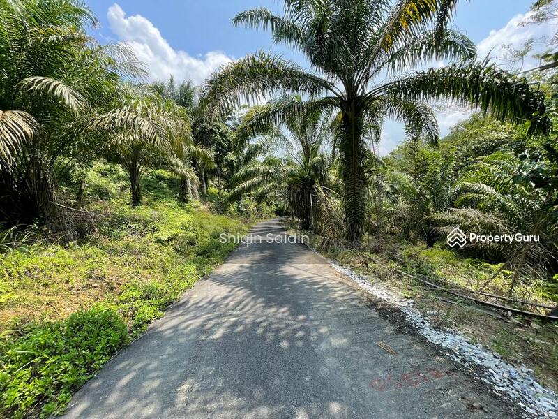 Agricultural Land for Sale in Rawang (Selangor) - Shiqin Saidin - PropertyGuru.com.my