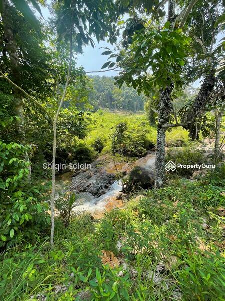 Agricultural Land for Sale in Rawang (Selangor) - Shiqin Saidin - PropertyGuru.com.my