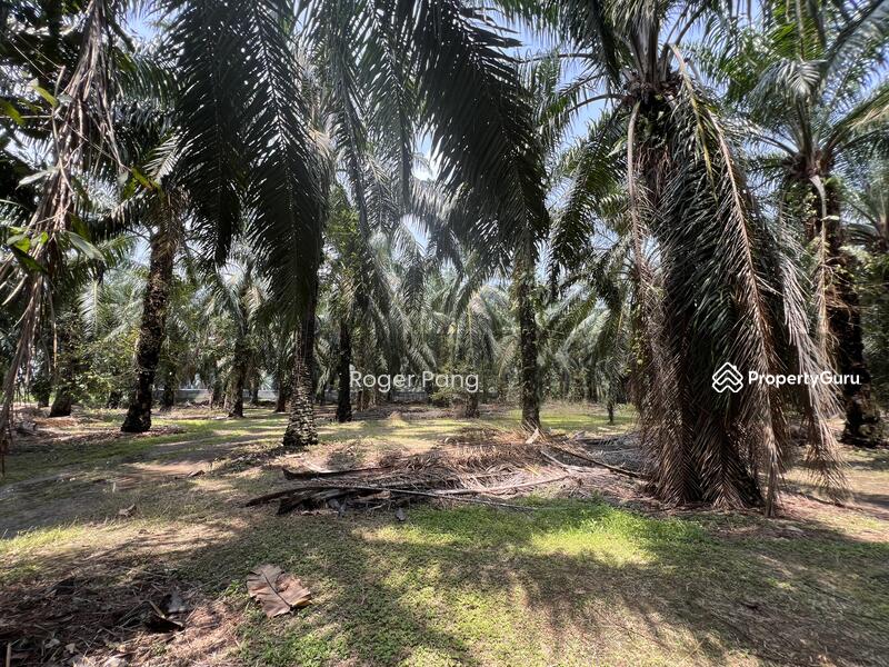 Agricultural Land for Sale in Taman Banting Baru (Banting) - Roger Pang - PropertyGuru.com.my