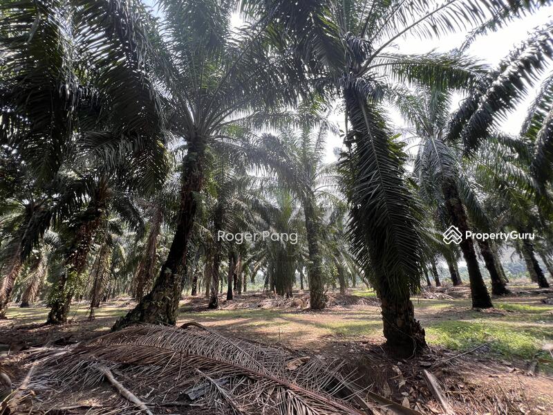 Agricultural Land for Sale in Taman Banting Baru (Banting) - Roger Pang - PropertyGuru.com.my