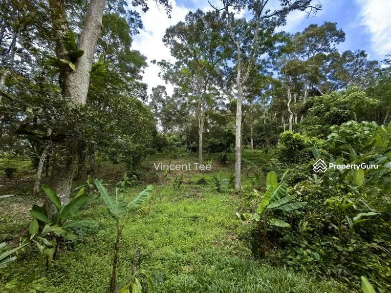 For Sale - 4.5 Acres Freehold Development Land Mainroad Titi Jelebu Klawang