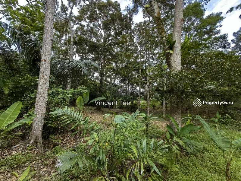For Sale - 4.5 Acres Freehold Development Land Mainroad Titi Jelebu Klawang