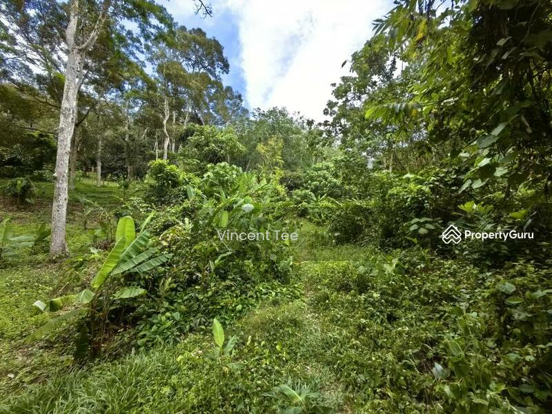 For Sale - 4.5 Acres Freehold Development Land Mainroad Titi Jelebu Klawang