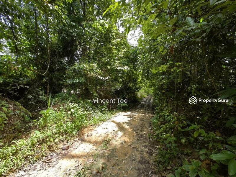 For Sale - 4.5 Acres Freehold Development Land Mainroad Titi Jelebu Klawang
