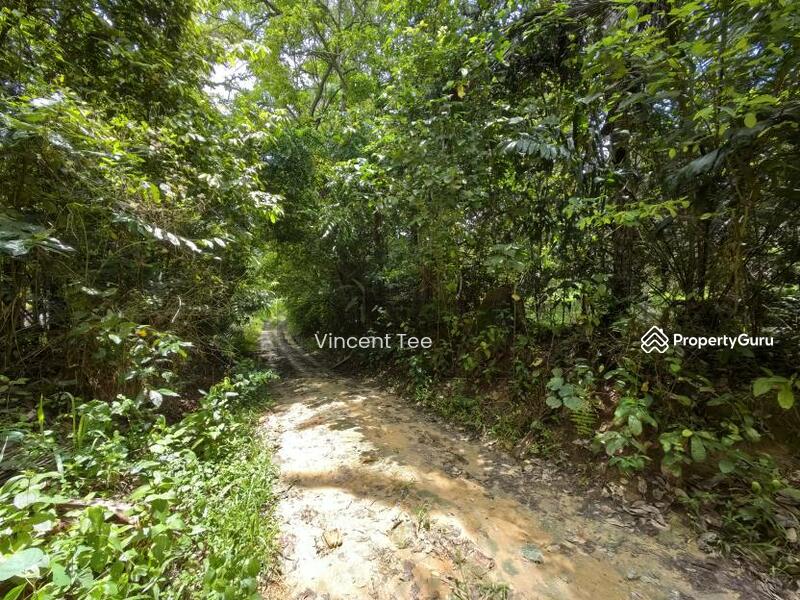 For Sale - 4.5 Acres Freehold Development Land Mainroad Titi Jelebu Klawang