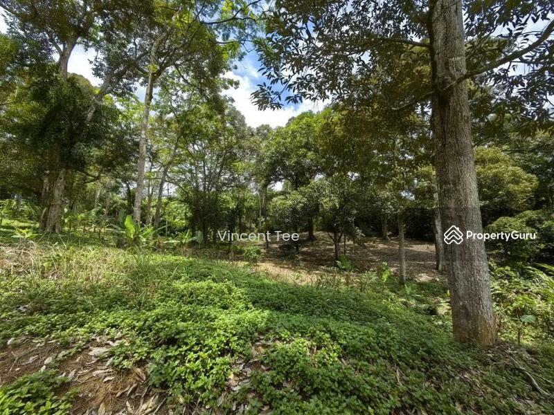For Sale - 4.5 Acres Freehold Development Land Mainroad Titi Jelebu Klawang