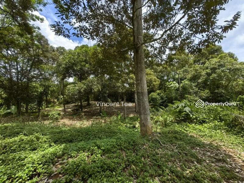 For Sale - 4.5 Acres Freehold Development Land Mainroad Titi Jelebu Klawang