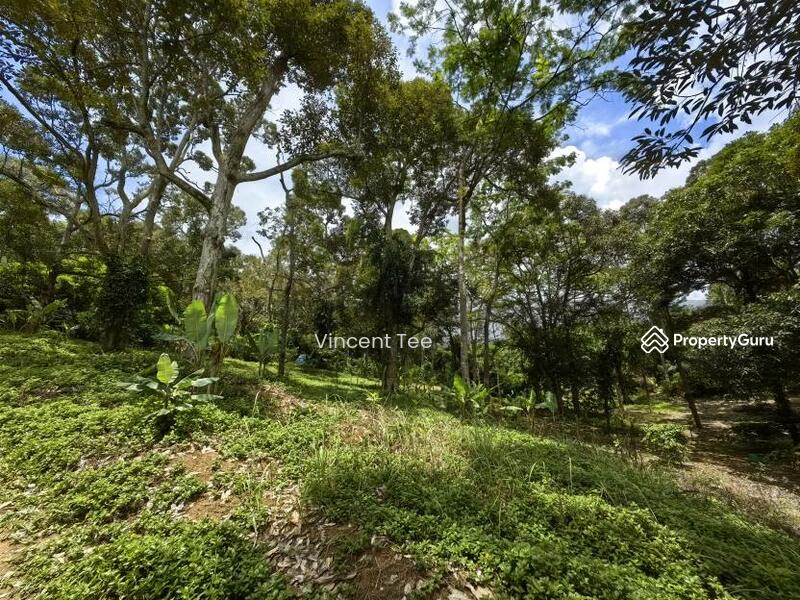 For Sale - 4.5 Acres Freehold Development Land Mainroad Titi Jelebu Klawang