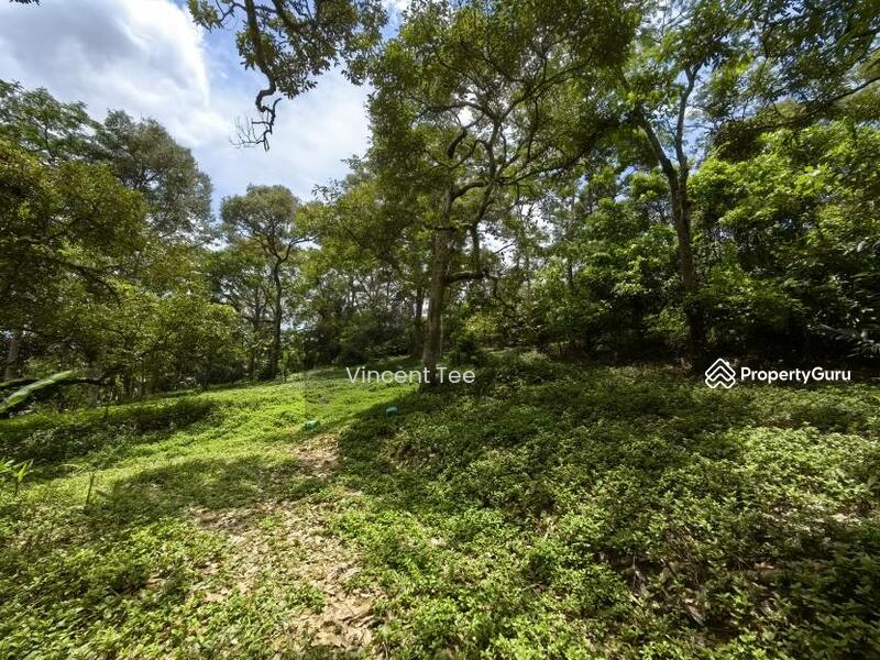 For Sale - 4.5 Acres Freehold Development Land Mainroad Titi Jelebu Klawang