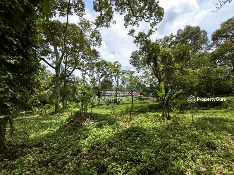 For Sale - 4.5 Acres Freehold Development Land Mainroad Titi Jelebu Klawang