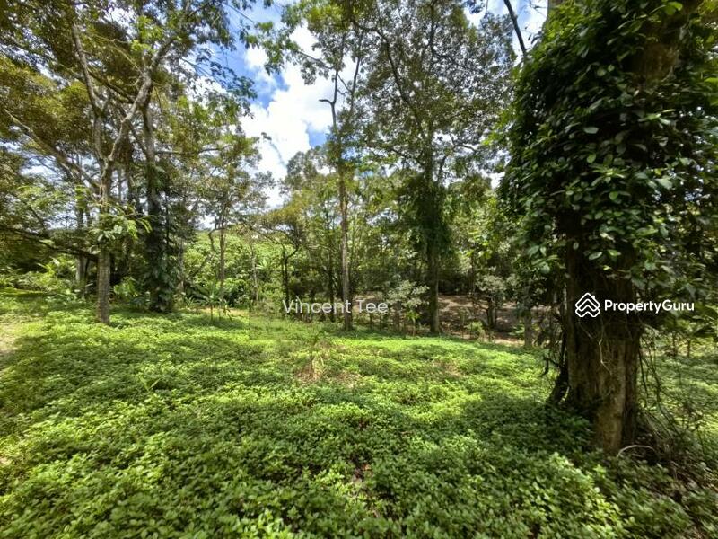 For Sale - 4.5 Acres Freehold Development Land Mainroad Titi Jelebu Klawang