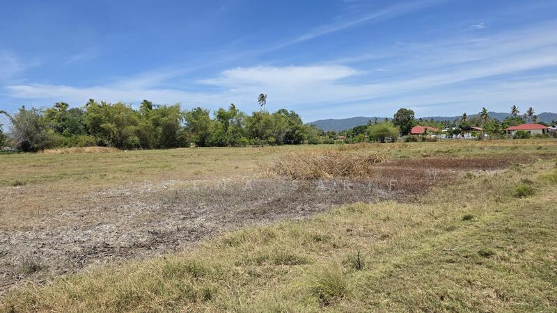 For Sale - Land for Sale Pantai Cenang Kedawang Langkawi