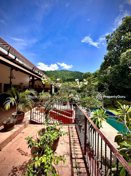For Sale - Charming Single-Storey Bungalow with Private Pool in Jesselton Heights.