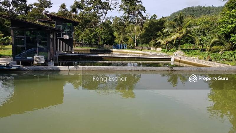 Agricultural Land for Sale in Bentong (Pahang) - Fong Esther - PropertyGuru.com.my