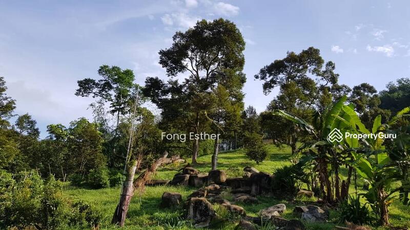 Agricultural Land for Sale in Bentong (Pahang) - Fong Esther - PropertyGuru.com.my