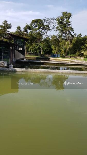 Agricultural Land for Sale in Bentong (Pahang) - Fong Esther - PropertyGuru.com.my