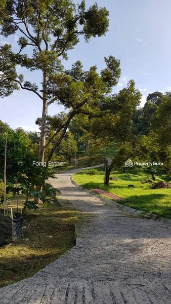 Agricultural Land for Sale in Bentong (Pahang) - Fong Esther - PropertyGuru.com.my