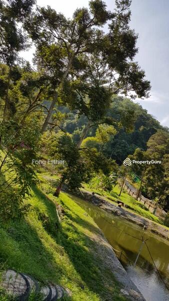 Agricultural Land for Sale in Bentong (Pahang) - Fong Esther - PropertyGuru.com.my