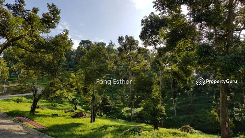 Agricultural Land for Sale in Bentong (Pahang) - Fong Esther - PropertyGuru.com.my