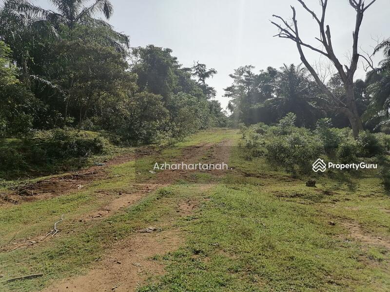 Agricultural Land for Sale in Semenyih (Selangor) - Azhar Hamid - PropertyGuru.com.my