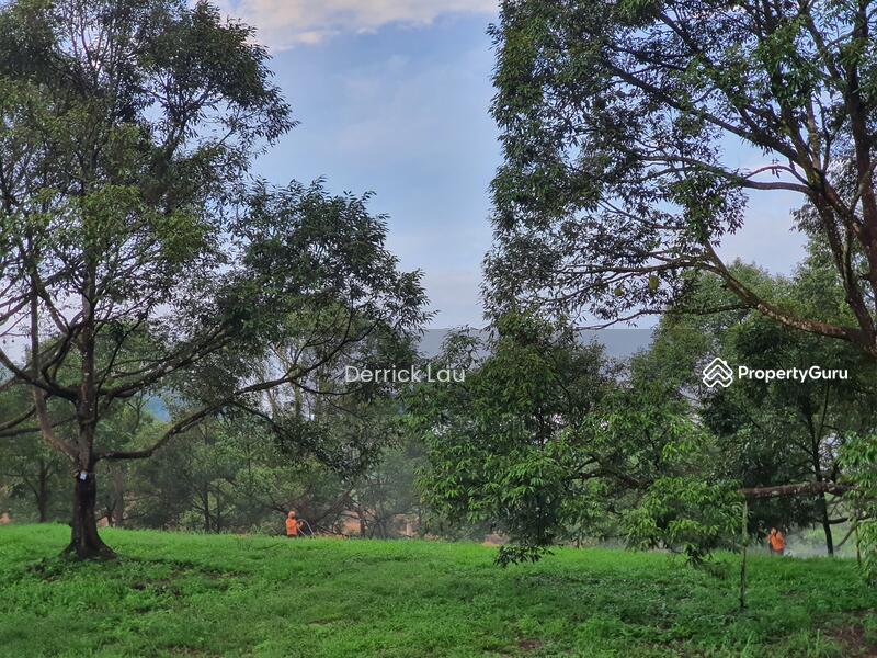 Bentong Durian Farm, Jalan Kuala Lumpur, Bentong, Pahang