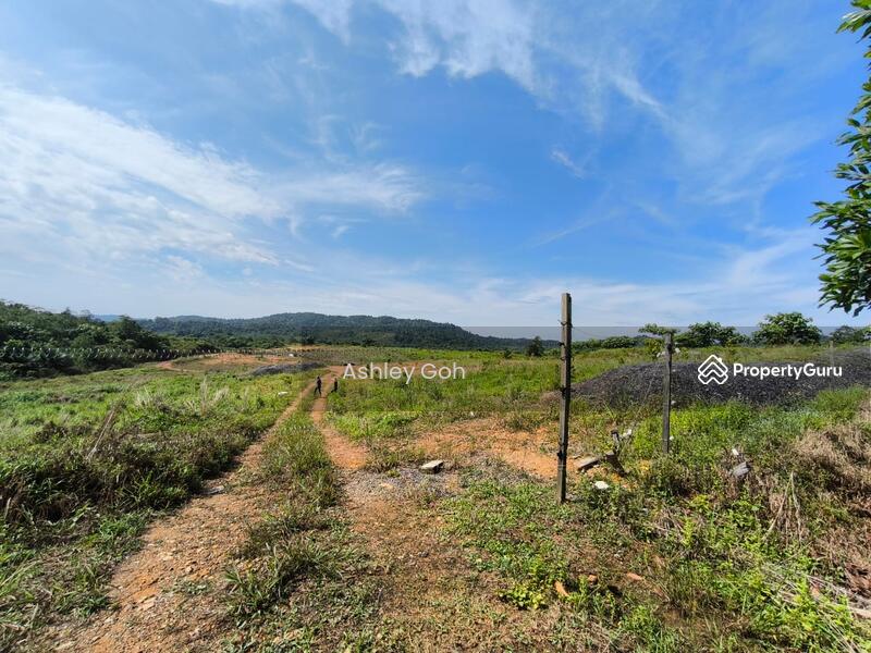 Tanah Pertanian untuk Dijual di Mersing (Johor) - Ashley Goh - PropertyGuru.com.my