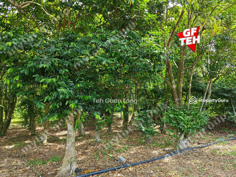 For Sale - 1.4 Acres | Agricultural Land | Juru | Bukit Mertajam | Penang t