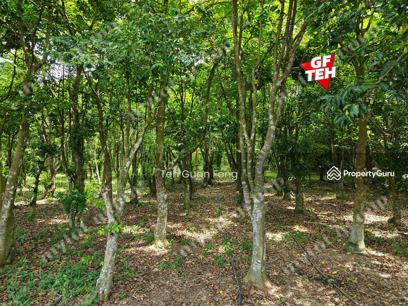 For Sale - 1.4 Acres | Agricultural Land | Juru | Bukit Mertajam | Penang t