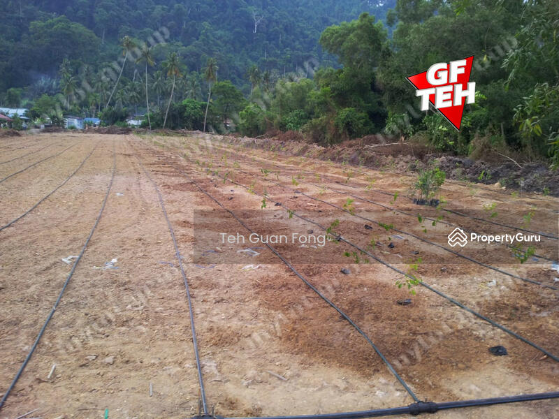 For Sale - 1.4 Acres | Agricultural Land | Juru | Bukit Mertajam | Penang t
