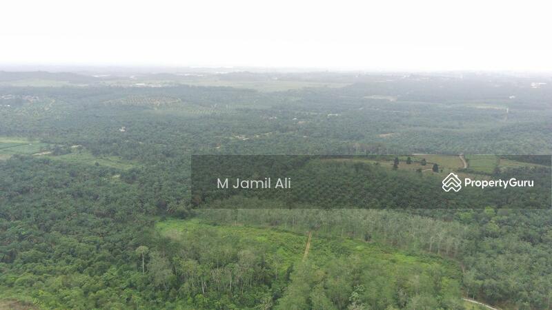 Tanah Pertanian untuk Dijual di Kampung Rahmat (Kluang) - M Jamil Ali - PropertyGuru.com.my
