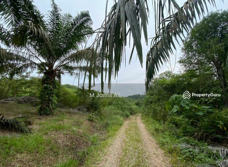 Tanah Pertanian untuk Dijual di Kampung Rahmat (Kluang) - M Jamil Ali - PropertyGuru.com.my