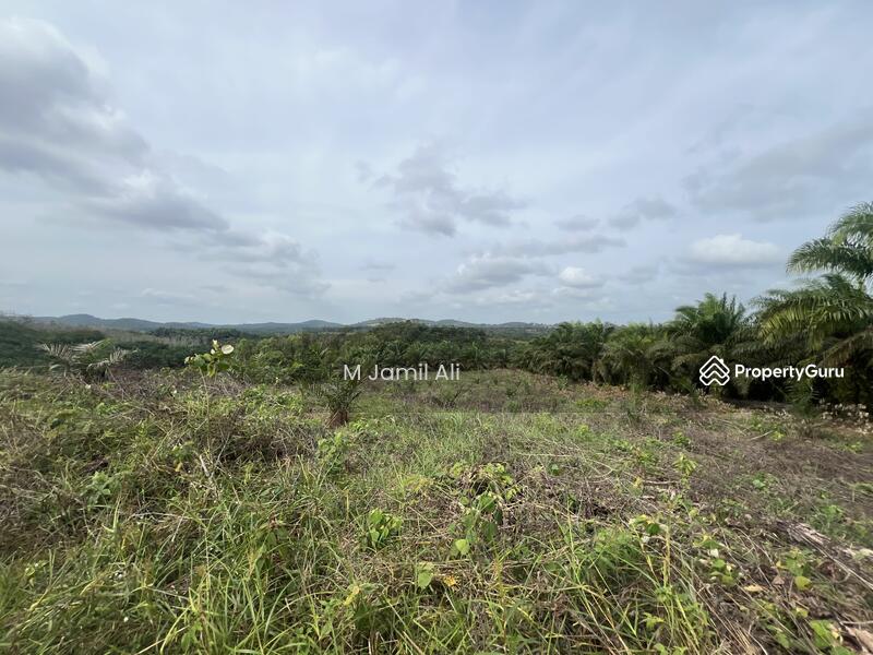 Tanah Pertanian untuk Dijual di Kampung Rahmat (Kluang) - M Jamil Ali - PropertyGuru.com.my