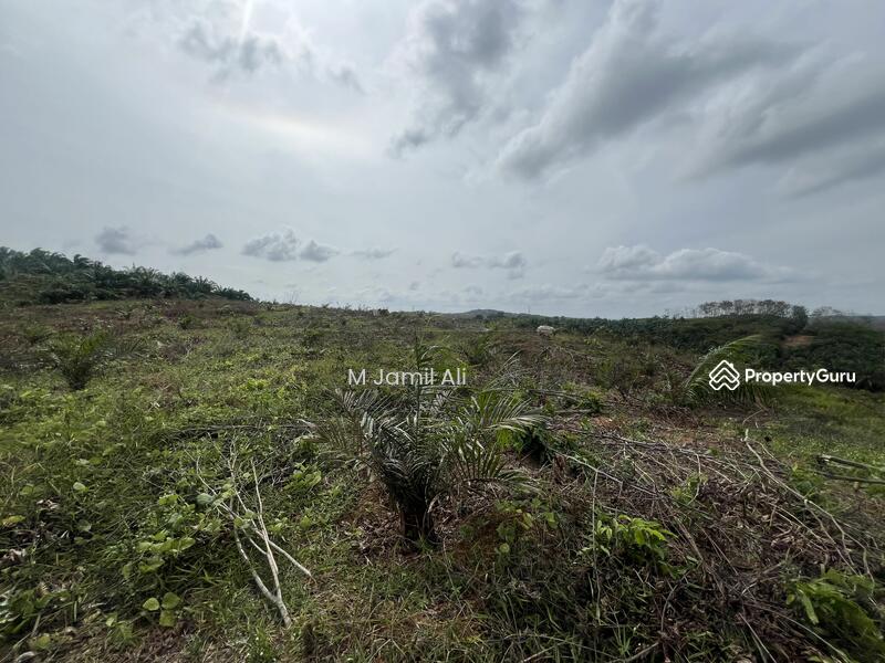 Tanah Pertanian untuk Dijual di Kampung Rahmat (Kluang) - M Jamil Ali - PropertyGuru.com.my