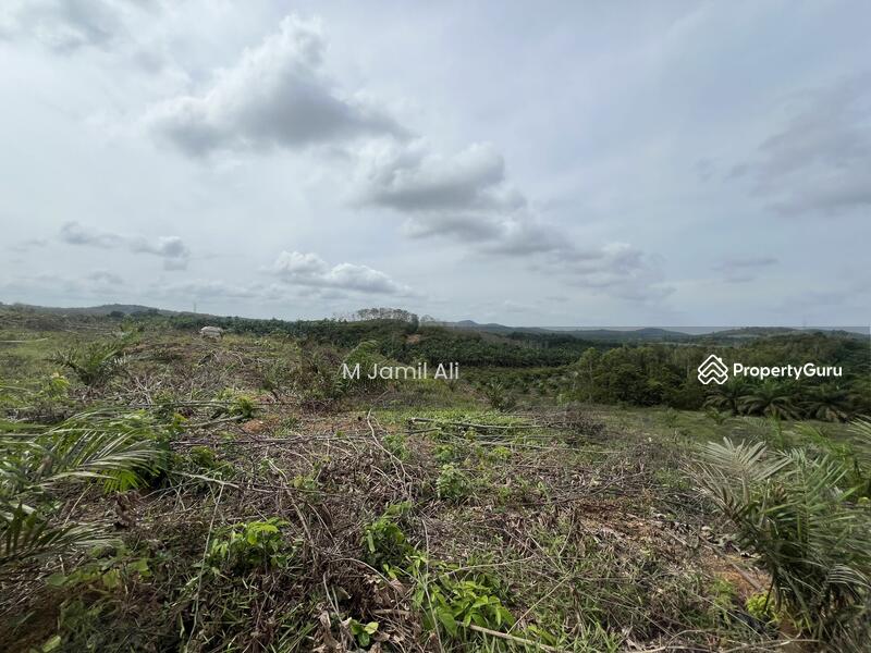 Tanah Pertanian untuk Dijual di Kampung Rahmat (Kluang) - M Jamil Ali - PropertyGuru.com.my