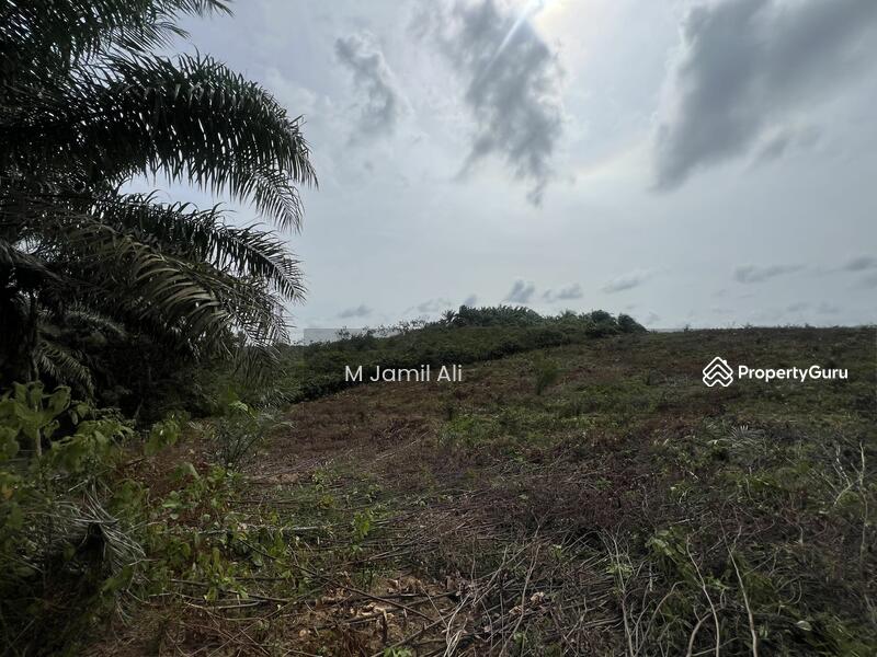 Tanah Pertanian untuk Dijual di Kampung Rahmat (Kluang) - M Jamil Ali - PropertyGuru.com.my